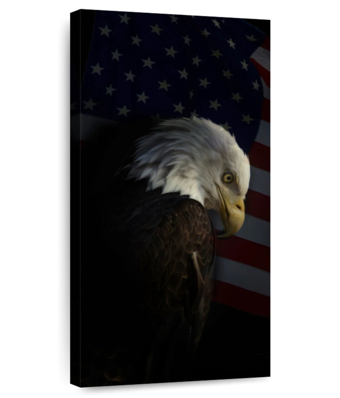 Pygargue à tête blanche patriotique, H 24 po x l 12 po