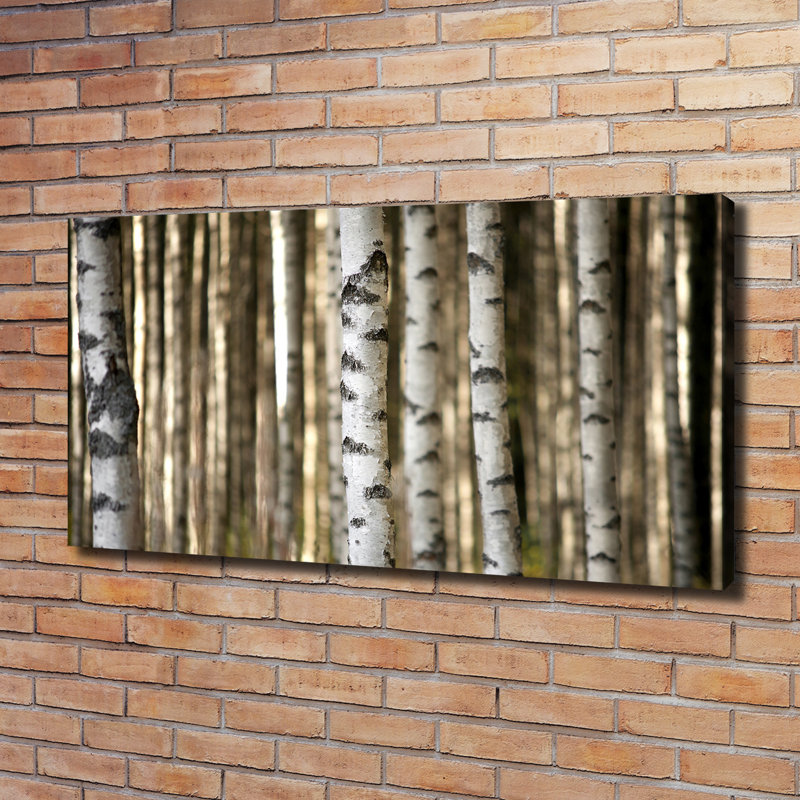 Birches - Wrapped Canvas Print