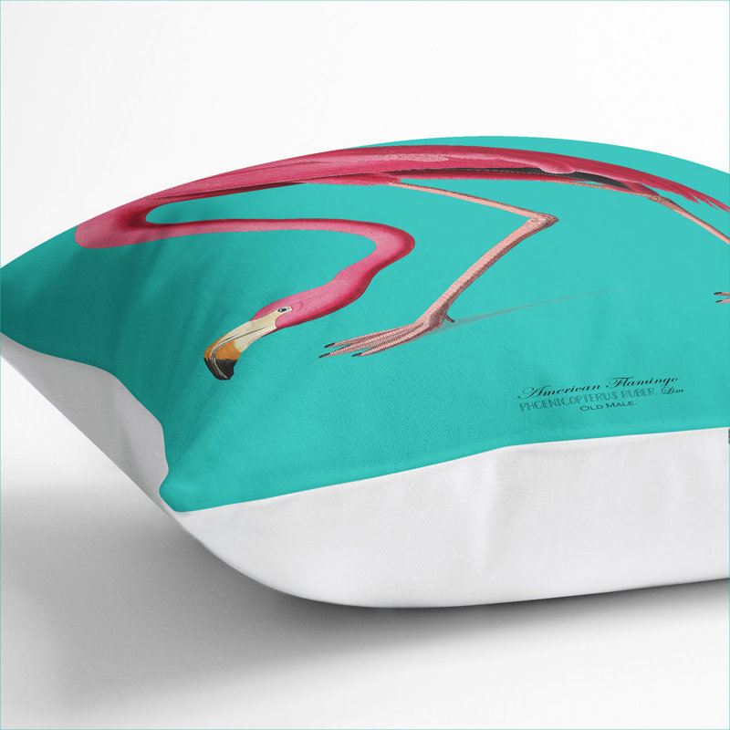 Flamingo in Teal Scatter Cushion, 55cm H x 55cm W x 20cm D, White