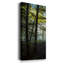 Lumière et arbres - ensemble de 3 photographies sur toile tendue-484443730