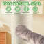 Grattoir en sisal de 39,4 po avec brosse interactive et brosse rotative