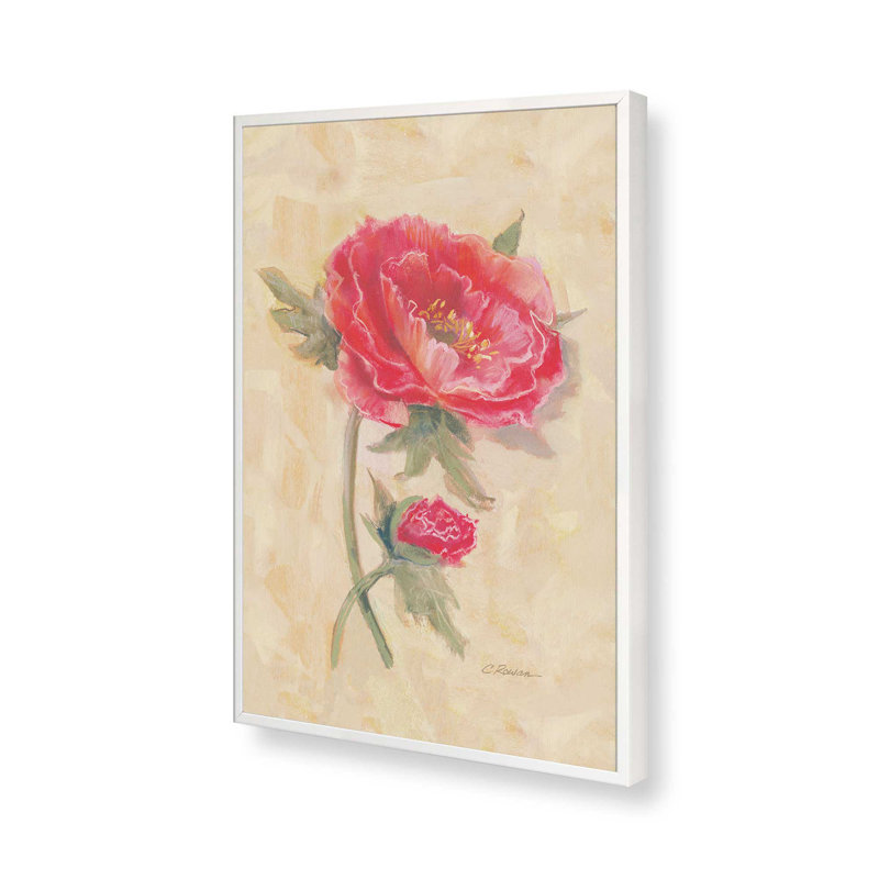 Impression sur toile «Coquelicots épicés» par Carol Rowan, H 48 po x l 36 po, Blanc