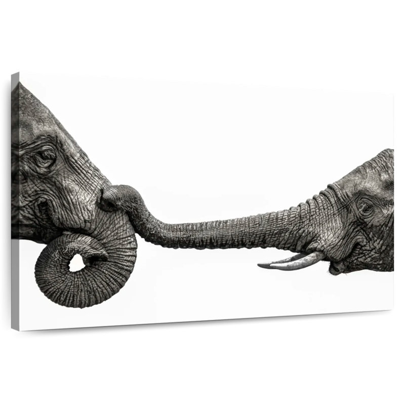 Brampt Elephant Hello, 24" H x 36" W