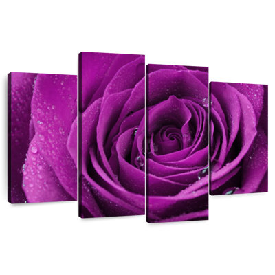 Harnek Droplets On Purple Rose