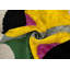 Coussin décoratif en velours