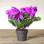 Arrangement floral artificiel 12 po Hedychium Coronarium-1647456853