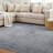 Somona Machine Washable Oriental Flatweave Performance Blue/Ivory Area Rug-1621953714