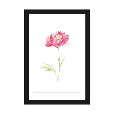 " Pink Peony " by Melissa Selmin