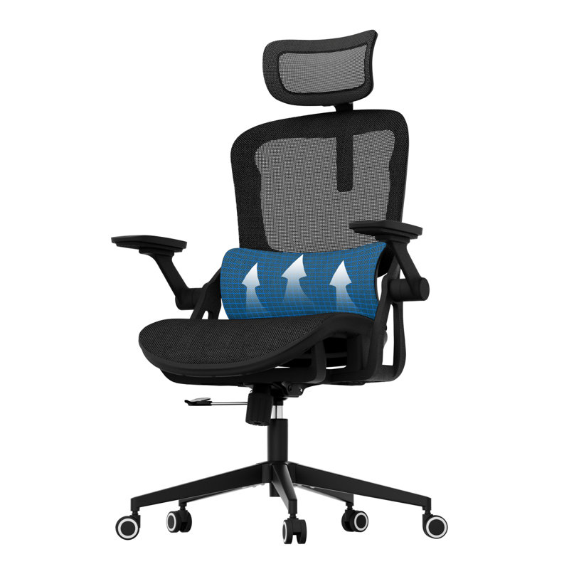 Omir Ergonomic Office Chair With Lumbar Support & Flip Up Arms Home Office Desk Chairs Rockable Swivel High Back Computer Chair  Mesh Study Chair