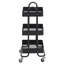 Raines Metal Bar Cart