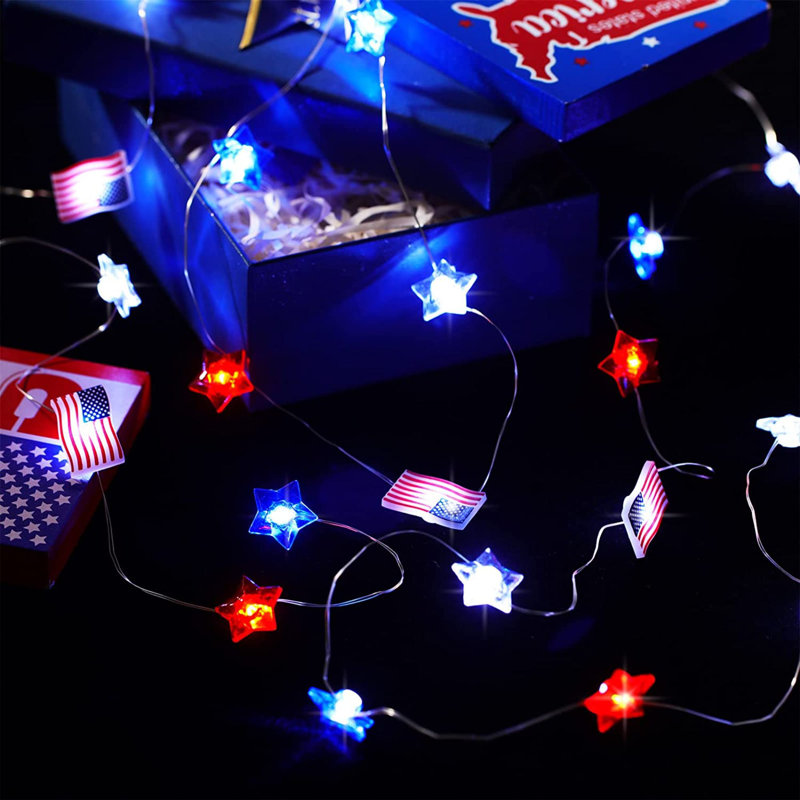 Gidgett 120'' LED String Lights
