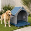Grande niche pour chien d'extérieur-1196280408