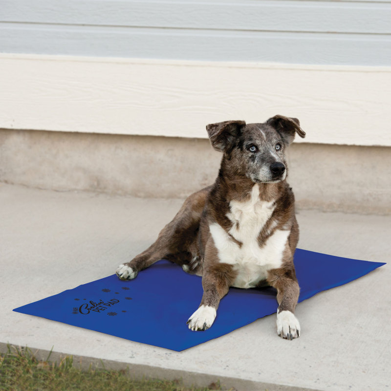 Tapis Coolin 'Pet, Grand (36" W x 20" D x 0.75" H)