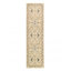 Wool Oriental Area Rug in Ivory