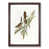 Walnut Framed selected
