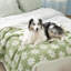 Couverture pour chien et chat Lesure-113472965-121249942