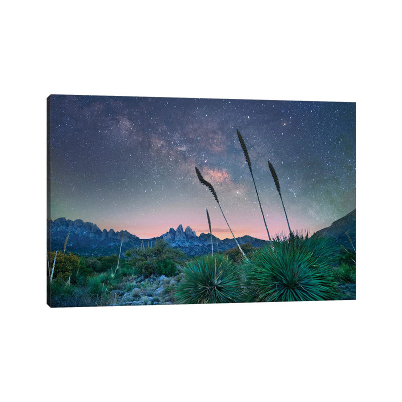 Agave and the Milky Way, Organ Mountains-Desert Peaks National Monument, New Mexico II 1 Piece Wrapped Canvas Wall Art