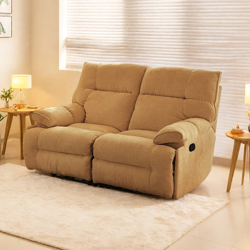 Fauteuil inclinable moderne, simple et ergonomique, Brun