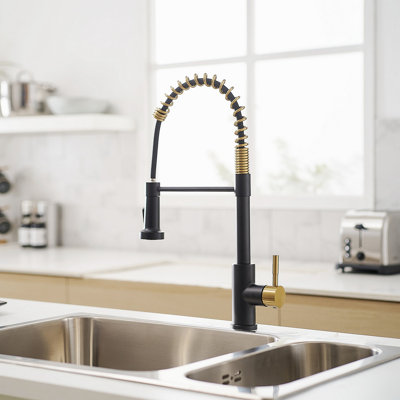 Robinet de cuisine avec douchette extractible, robinet d'évier de cuisine à poignée simple
