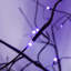 Arbre effrayant 3 lumières d'Halloween avec lumières mauves, arbre noir éclairé pour la décoration d'Halloween