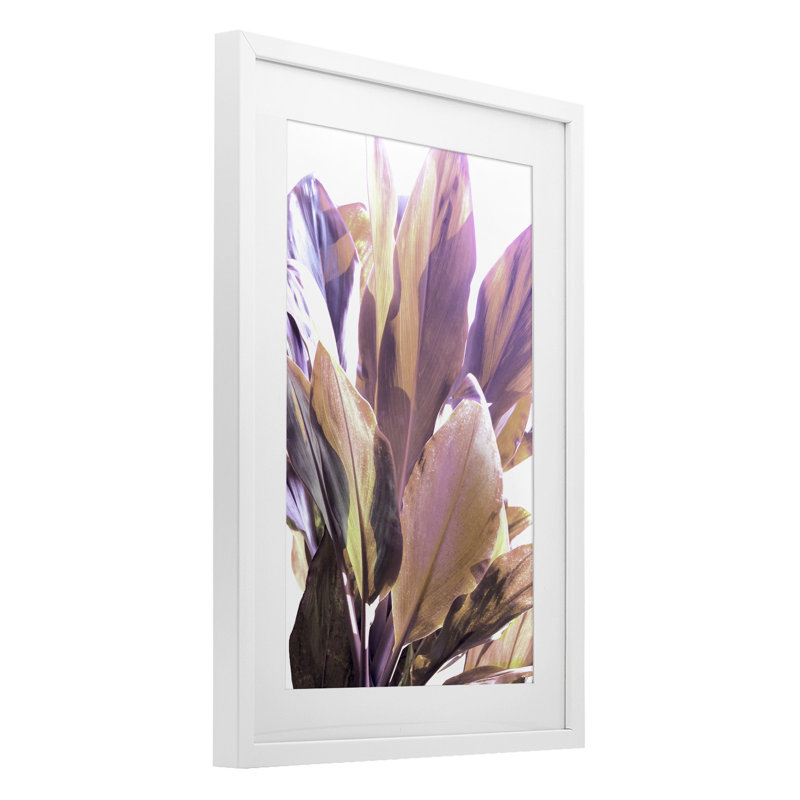 «Tropical Tropical Leaves», reproduction encadrée sous verre, design par Gemma Bardot, H 20 po x l 14 po, Cadre blanc côtier