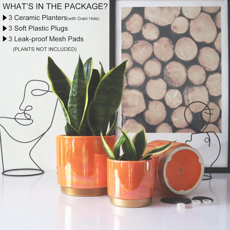 Pot à fleurs d'intérieur en céramique pour plantes Rainbow Pearl