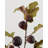 Faux Fig Fruit Branch 37"