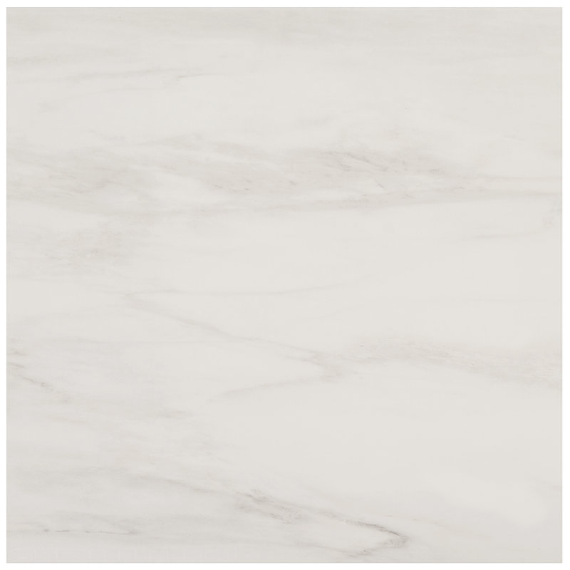 24" x 24" Polished Marble Look Porcelain Floor and Wall Tile (15.5 Sq. Ft. / Case), Dolomite Snow