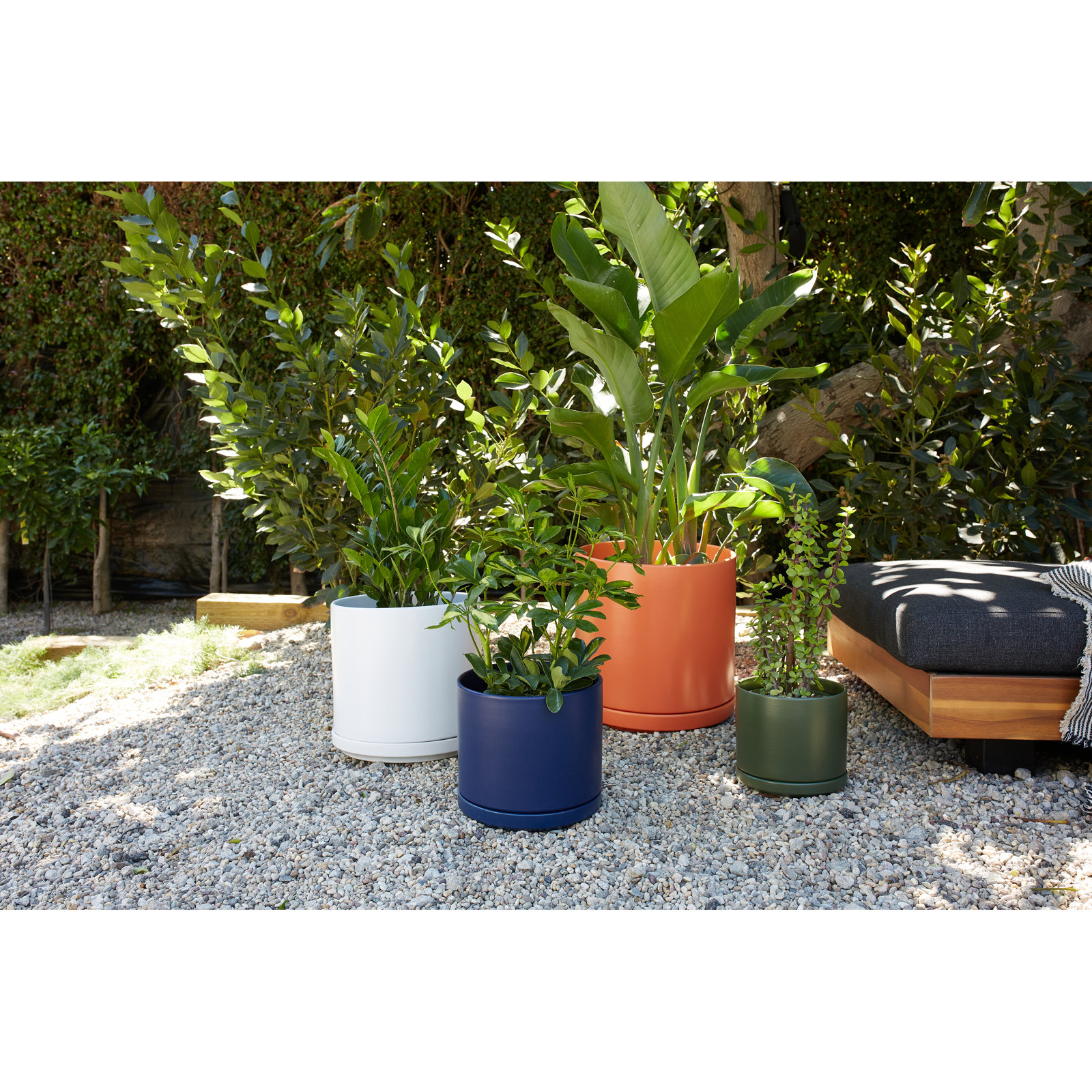 Cheryl Handmade Ceramic Pot Planter, 9.75" H x 10.5" W x 10.5" D, White