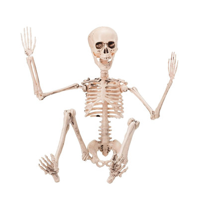 Halloween Decoration