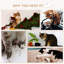 Arbre à chat multi-niveaux Pawhut