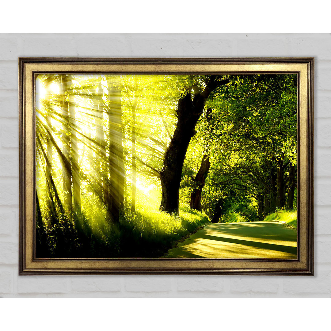 Gerahmter Kunstdruck Green Nature Dual Monitor-Other