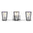 3-Light Open Cage Bath Vanity Fixture-613139176