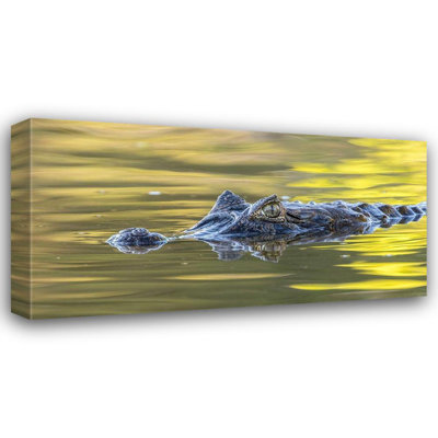 Reproduction d'art sur toile Beachcrest Home ™ Jaynes Gallery Gallery: Brésil, Pantanal