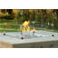 Bazaar Square Fire Pit Flame Guard