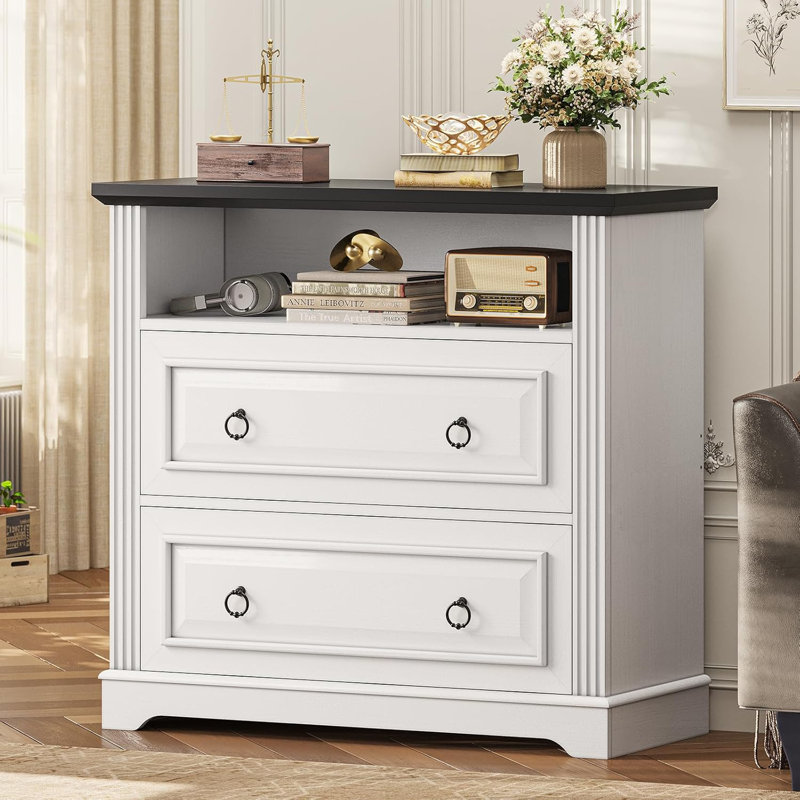 33.8'' Wide 2 -Drawer File Cabinet  Filing Cabinet For Home Office, White