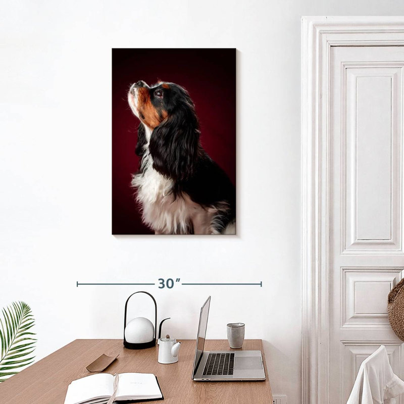 Brampt Begging Spaniel Puppy, 30" H x 20" W