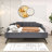Innes Upholstered Daybed with Trundle Bed