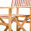 Directors Chair Table-1069273781