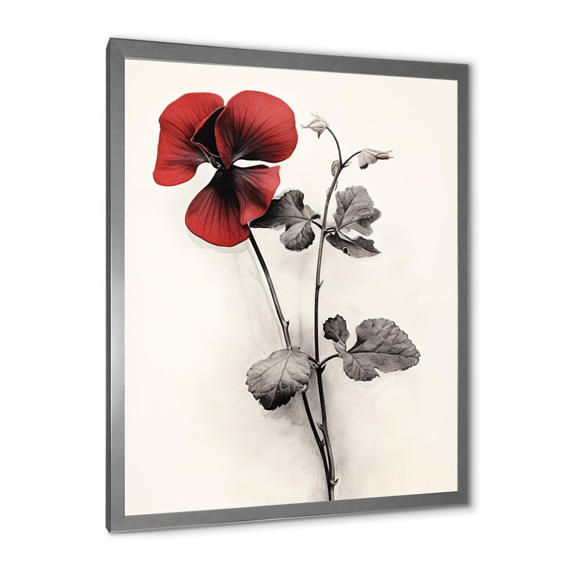 Red Violets Dreamer II, Cadre photo argenté, H 40 po x l 30 po x P 1,5 po