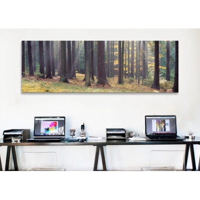 "Trees in the Forest, South Bohemia, République Tchéque" par Panoramic Image, reproduction de photo sur toile tendue