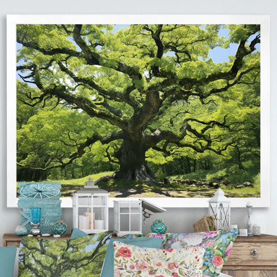 Photo de majestueux arbre sycomore - Art mural arbre sycomore