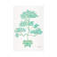Strickler Bonsai turquoise-35540225-72435291-72435292