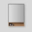Bergen 24" Medicine Cabinet-211842276