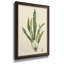 Curtis Ferns IV Curtis Ferns IV - Peinture sur toile encadrée-1169800435