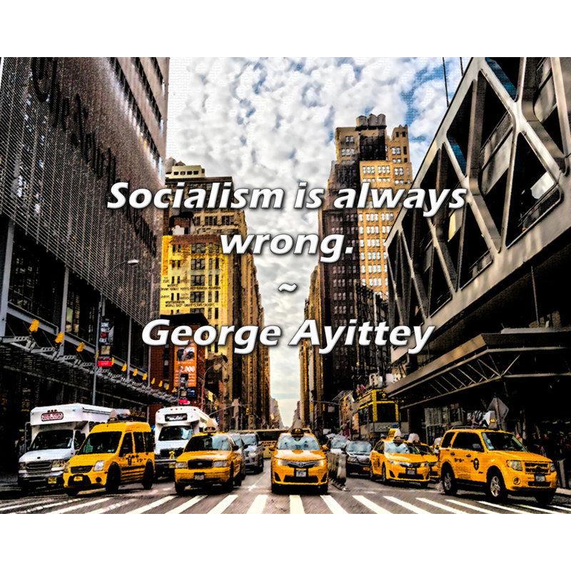George Ayittey Citation: Le socialisme est toujours faux.