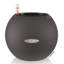 Pot Planter-332018213-393093552