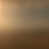 Muted Brass