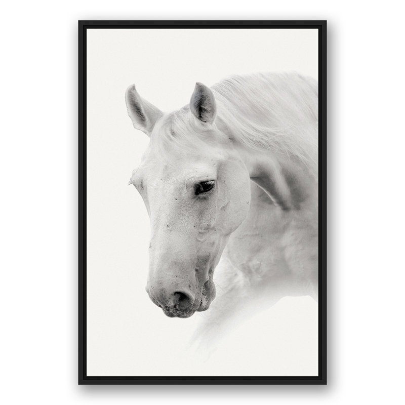 Cheval noir et blanc, reproduction sur toile, H 37,75 po x l 25,75 po