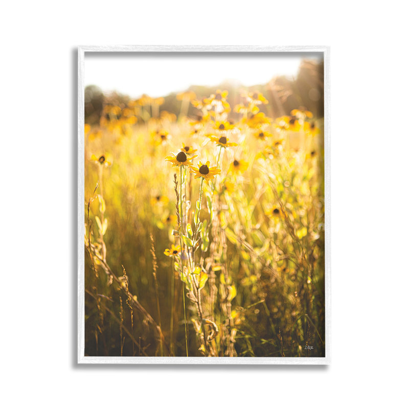 «Sunlit Daisy Meadow», art de la giclée encadrée par Donnie Quillen, H 14 po x l 11 po, Giclée encadrée blanc bord de mer